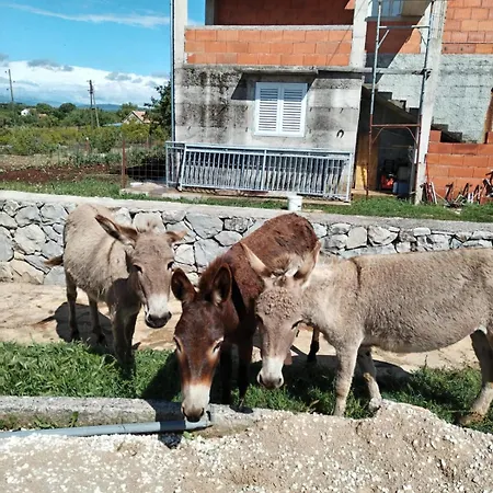 Vikendica Anita Unesic