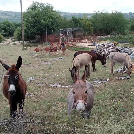 Vikendica Anita Unesic