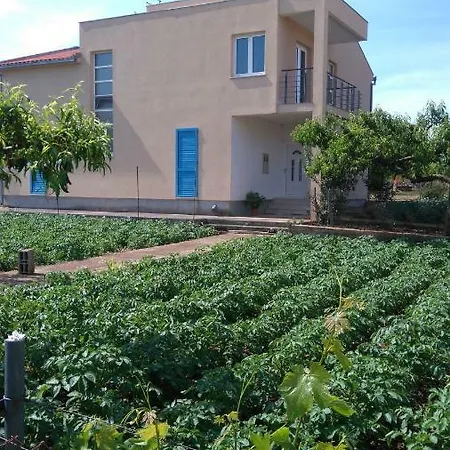 Anita Tatil Evi Unesic