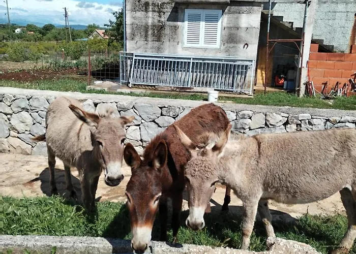 Vakantiehuis Anita Unesic