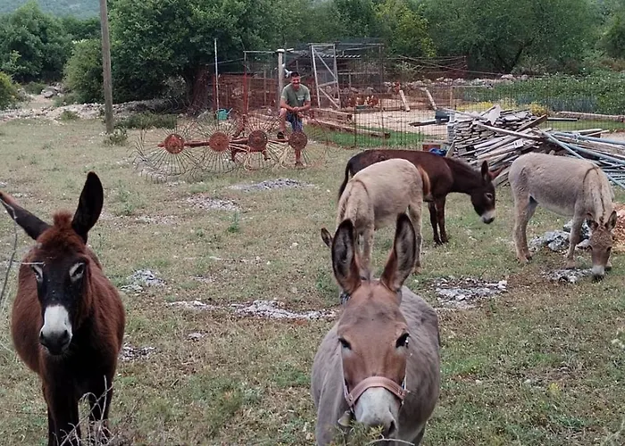 Vakantiehuis Anita Unesic